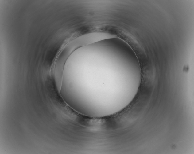 X0000097670225200803142202