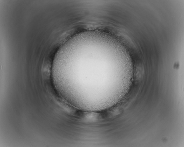 X0000097670226200803142202