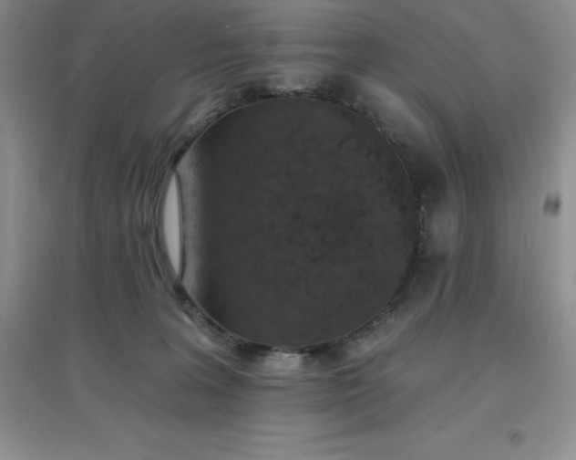 X0000097670227200803142202