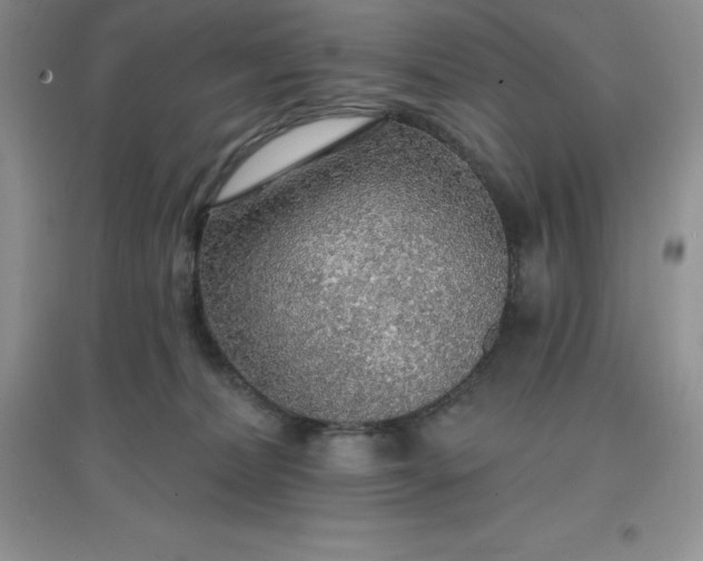 X0000097670228200803142202