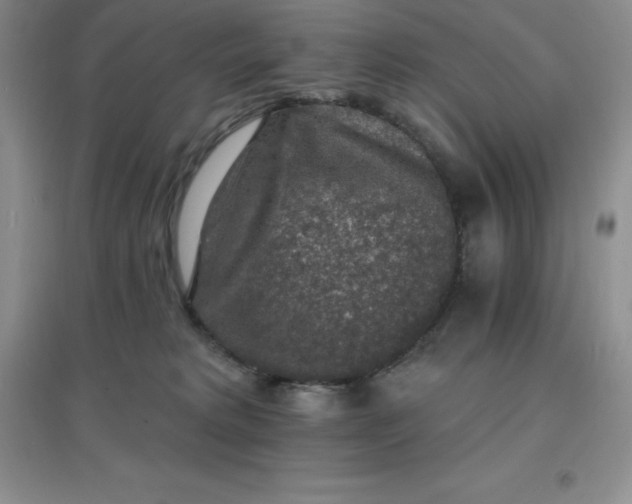 X0000097670229200803142202