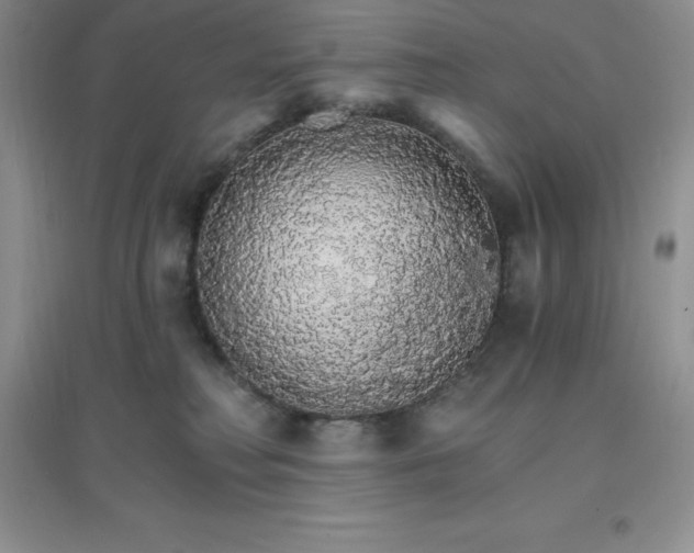 X0000097670230200803142202