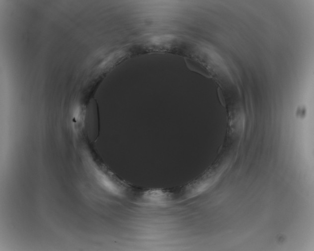 X0000097670231200803142202