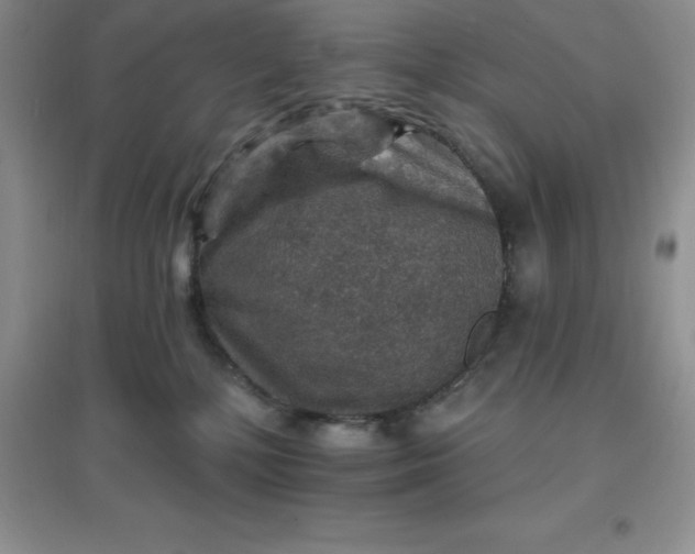 X0000097670232200803142202