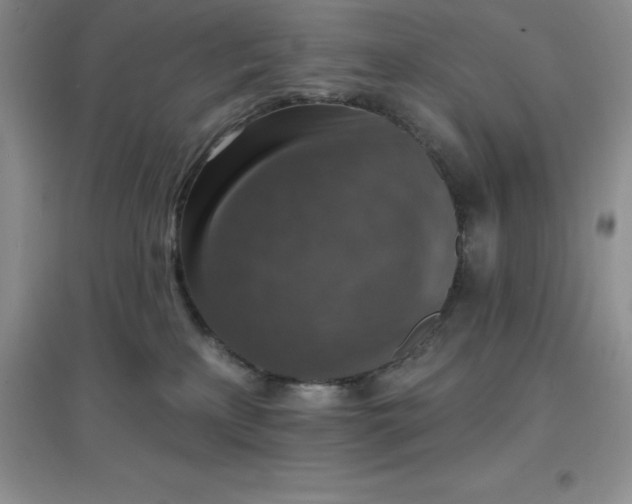 X0000097670233200803142201
