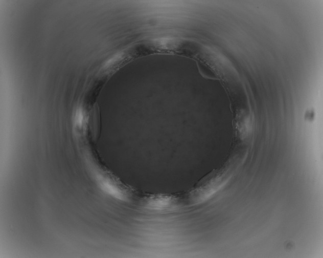 X0000097670235200803142201