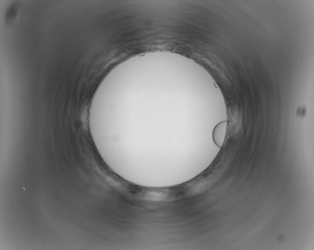 X0000097670236200803142201