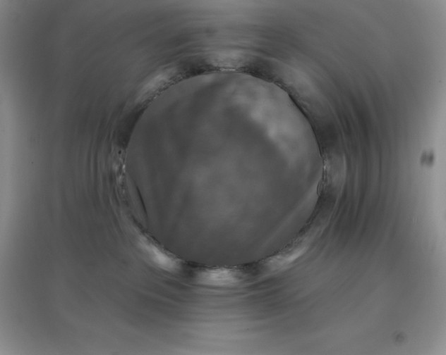 X0000097670237200803142201