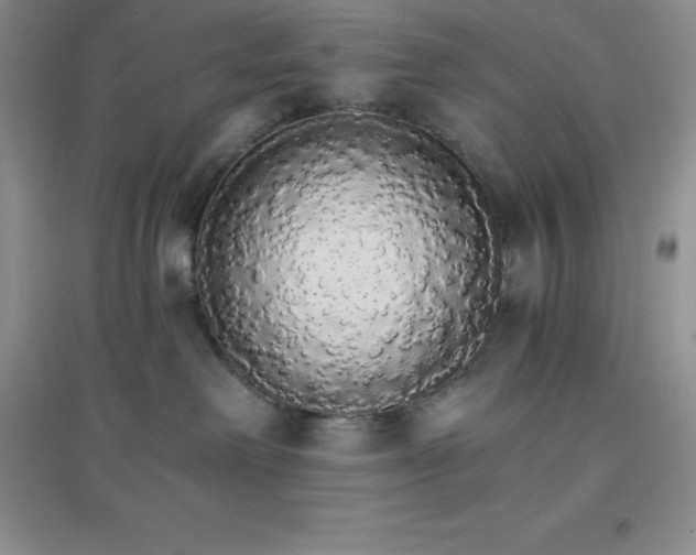 X0000097670238200803142201