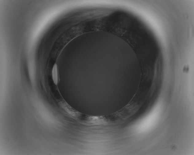 X0000097670239200803142201