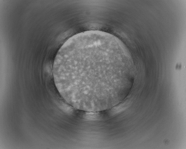 X0000097670240200803142201