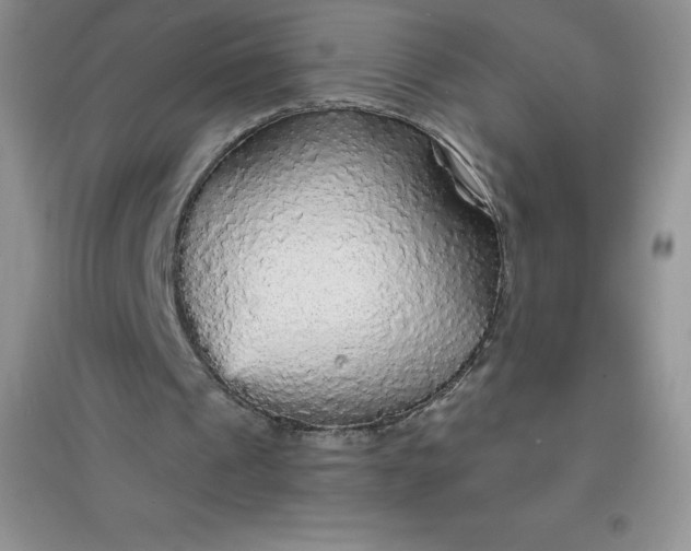 X0000097670241200803142200