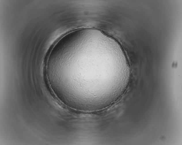 X0000097670242200803142200