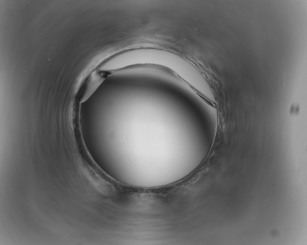 X0000097670244200803142200