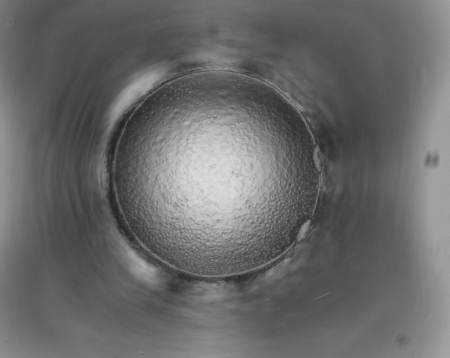 X0000097670245200803142200