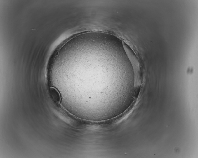 X0000097670246200803142200