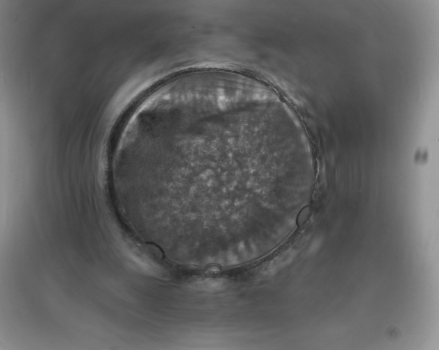 X0000097670247200803142200