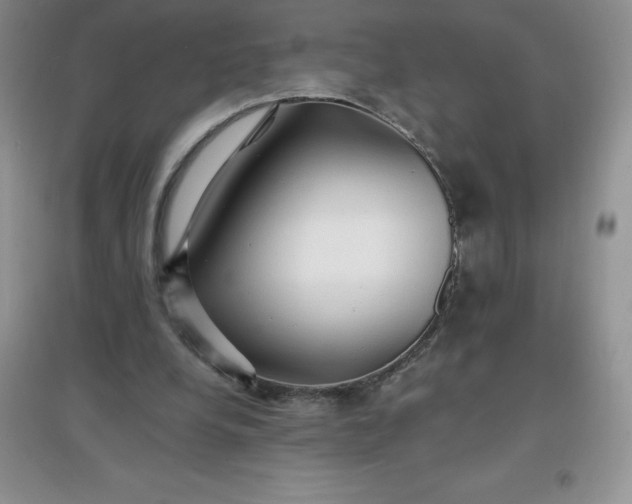 X0000097670248200803142200