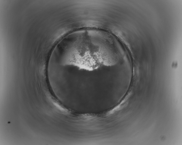 X0000097670249200803142200