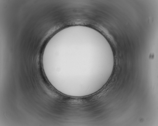 X0000097670250200803142201