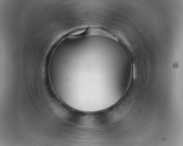 X0000097670252200803142201
