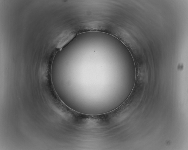 X0000097670255200803142201