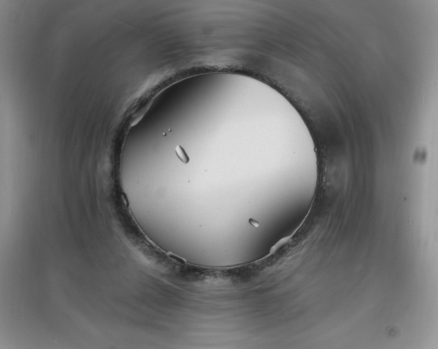 X0000097670256200803142201