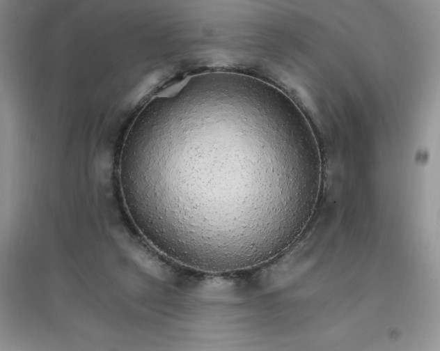 X0000097670257200803142201