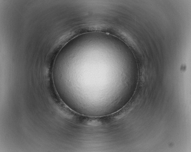 X0000097670258200803142201