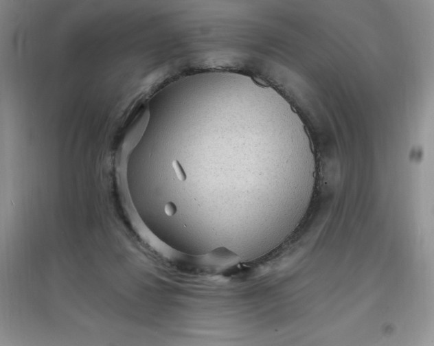 X0000097670260200803142201