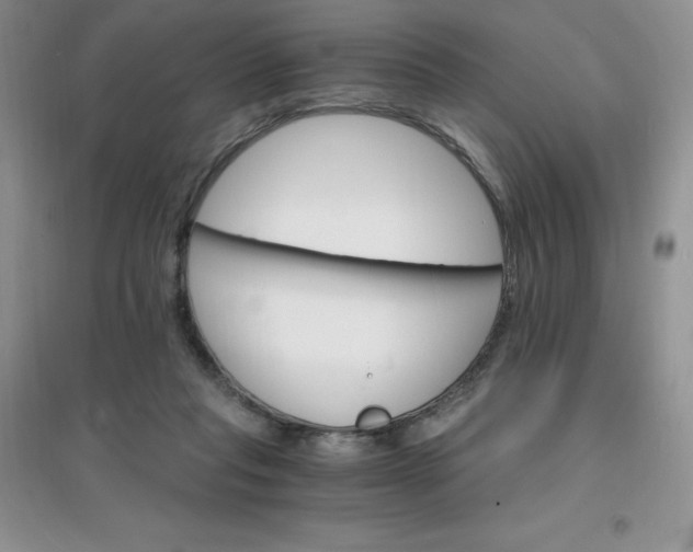 X0000097670261200803142201