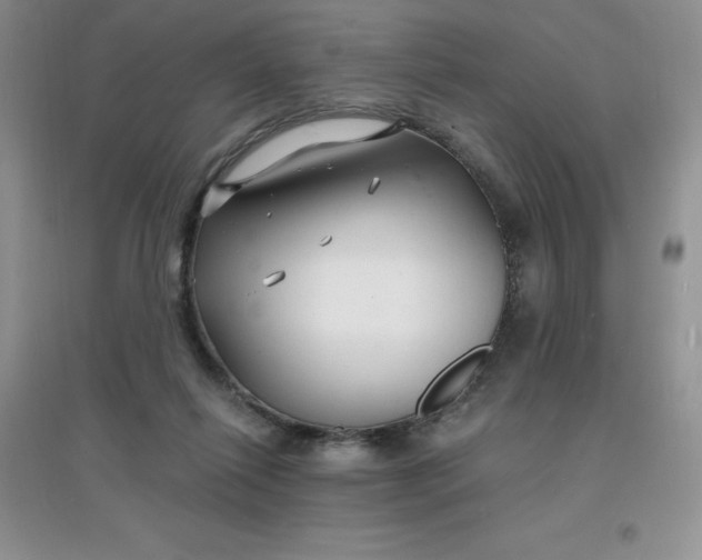 X0000097670262200803142201