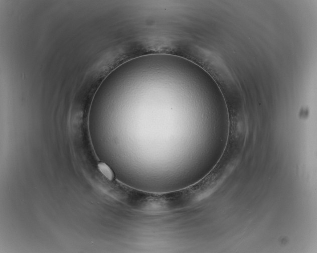 X0000097670263200803142201