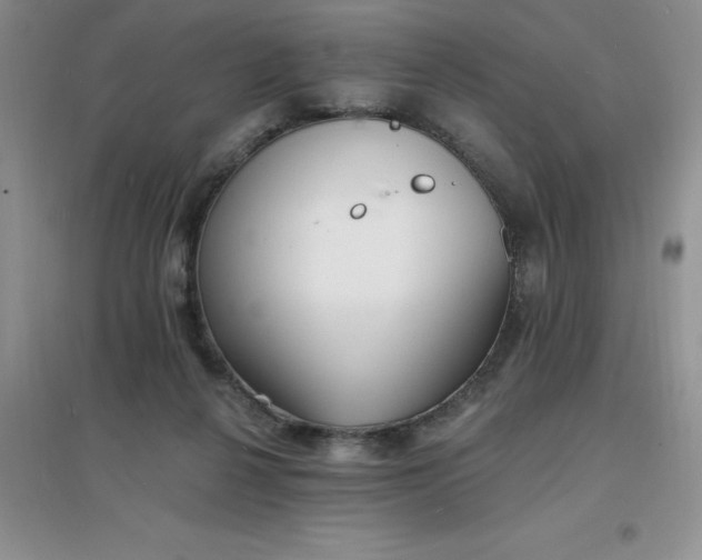 X0000097670264200803142201