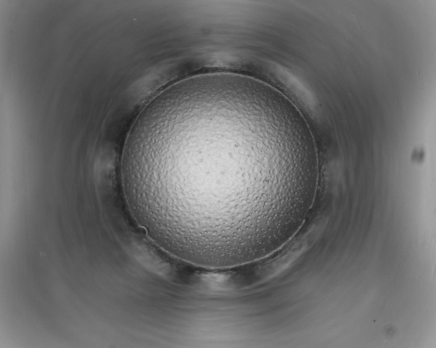 X0000097670265200803142201