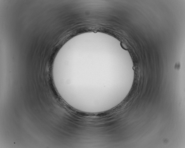 X0000097670266200803142201