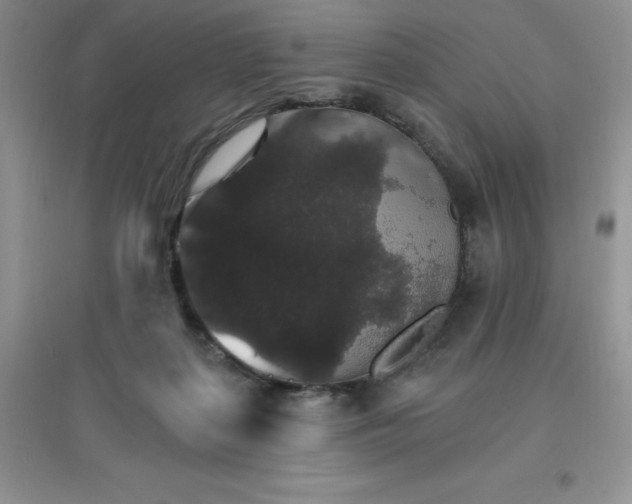X0000097670267200803142201