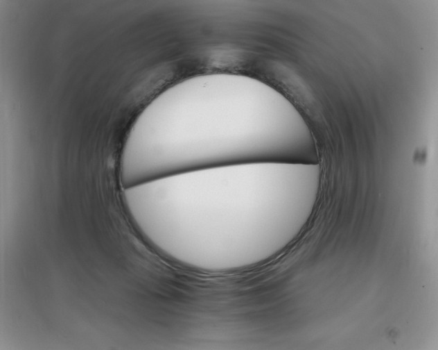 X0000097670269200803142201