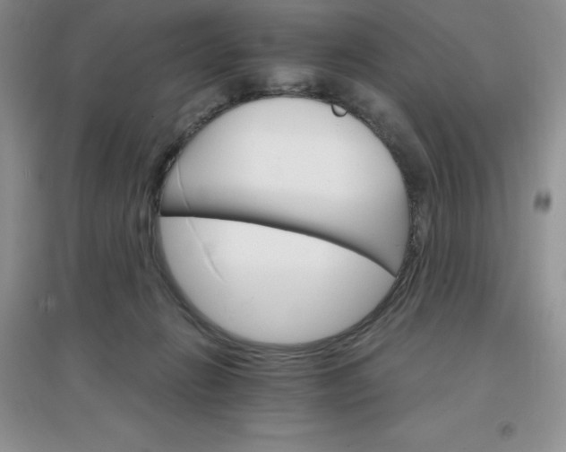 X0000097670270200803142201