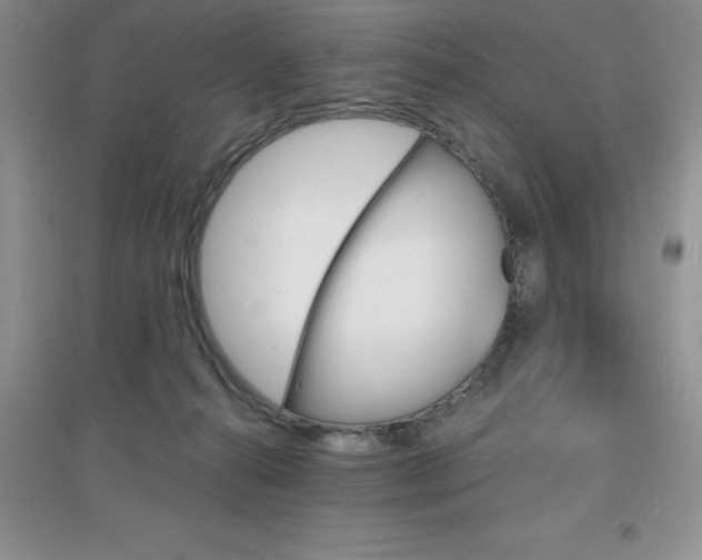 X0000097670272200803142201