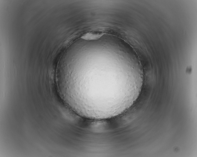 X0000097670274200803142201
