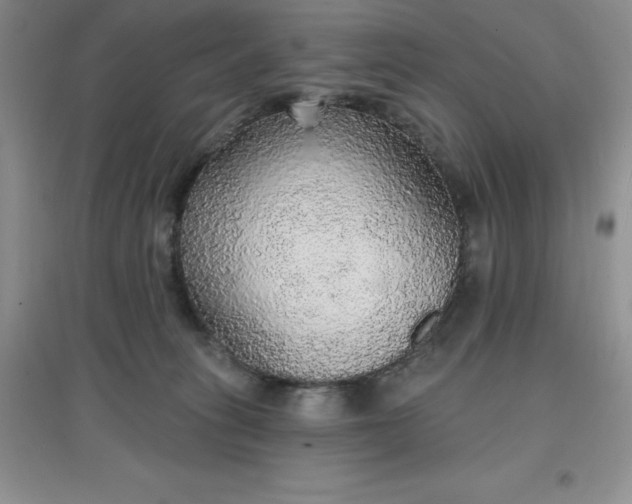 X0000097670275200803142201