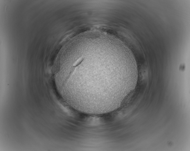 X0000097670276200803142201