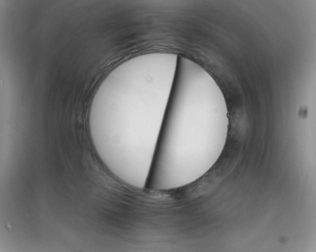 X0000097670278200803142201