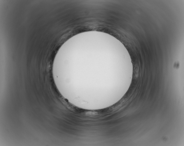 X0000097670279200803142201