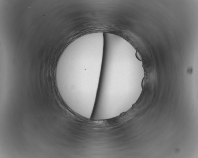 X0000097670281200803142201