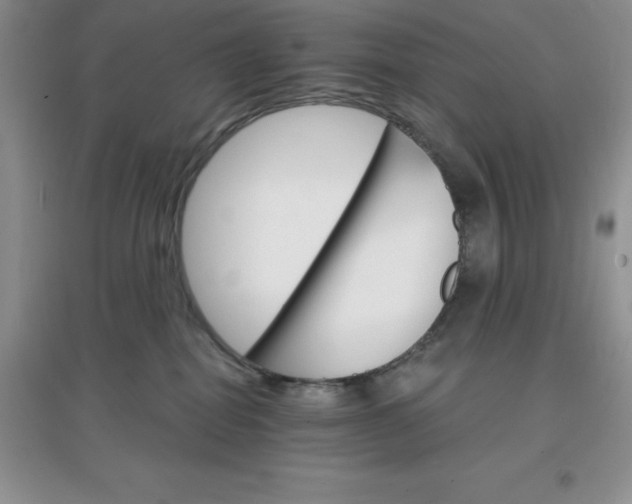 X0000097670282200803142201