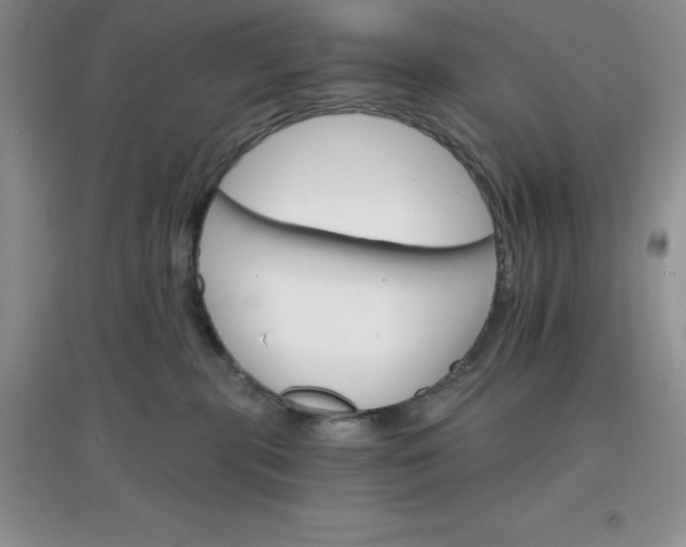 X0000097670283200803142201