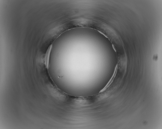 X0000097670284200803142201