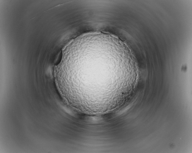 X0000097670286200803142201